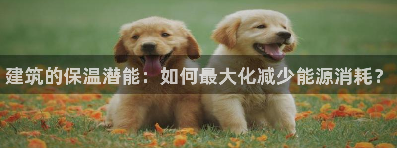 顺盈娱乐主管后原判官333OO