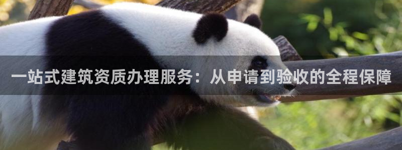 清远顺盈娱乐公司实习