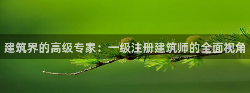 顺盈娱乐棋牌怎么样啊