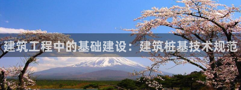顺盈娱乐最高代理
