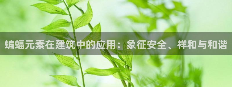 顺盈童欢娱乐有限公司