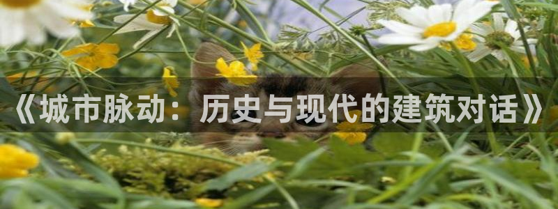 顺盈娱乐直究7276O：《城市脉动：历史与现代的建筑对话》
