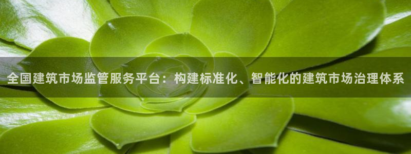盈顺棋牌娱乐室怎么样：全国建筑市场监管服务平台：构建标准化、智能化的建筑市场治理体系