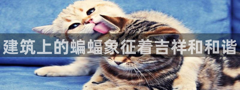 清城区顺盈娱乐会所地址：建筑上的蝙蝠象征着吉祥和和谐