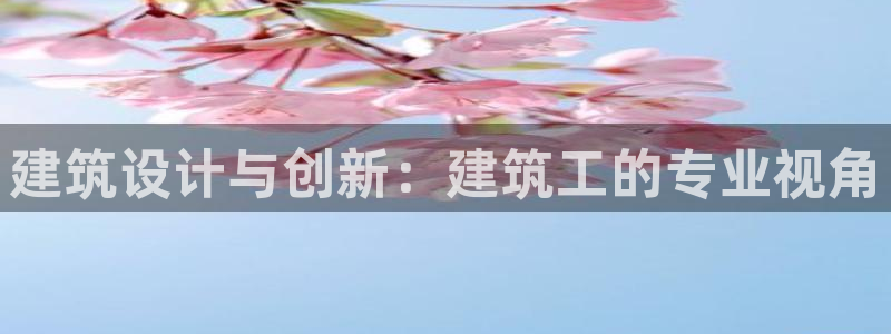 顺盈娱乐注册楚判官333OO：建筑设计与创新：建筑工的专业视角