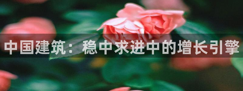 顺盈2娱乐滴qv382223：中国建筑：稳中求进中的增长引擎