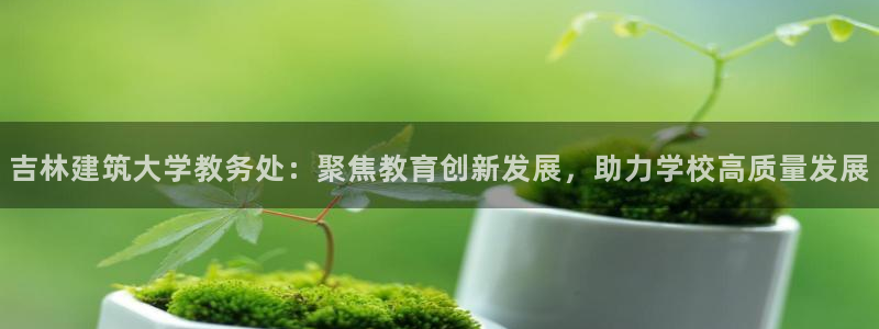 顺盈娱乐注册这唐老鸭779O3：吉林建筑大学教务处：聚焦教育创新发展，助力学校高质量发展