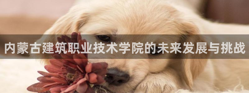 顺盈娱乐 炤企鹅779O3：内蒙古建筑职业技术学院的未来发展与挑战