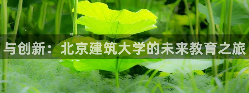 应县盈顺休闲娱乐室地址：与创新：北京建筑大学的未来教育之旅