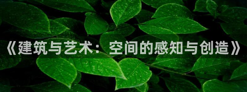 顺盈娱乐那家公司旗下：《建筑与艺术：空间的感知与创造》