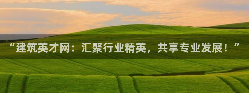 清远顺盈娱乐酒店：“建筑英才网：汇聚行业精英，共享专业发展！”