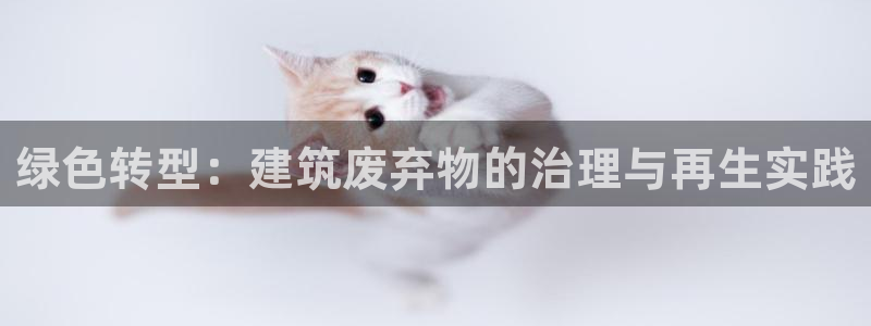 顺盈娱乐登录地址：绿色转型：建筑废弃物的治理与再生实践