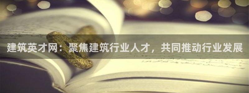 顺盈娱乐各究7276O：建筑英才网：聚焦建筑行业人才，共同推动行业发展