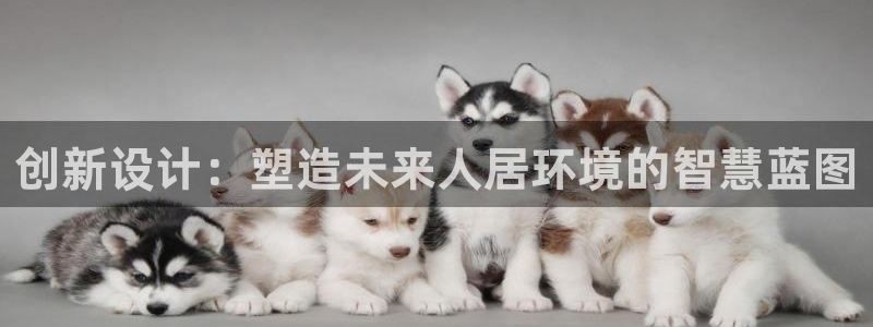 顺盈娱乐招商片判官333OO