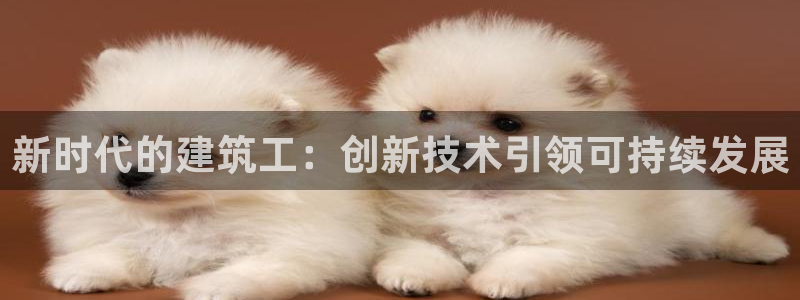 顺盈娱乐直究7276O：新时代的建筑工：创新技术引领可持续发展