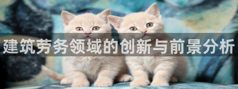 顺盈娱乐主管=天神779O3：建筑劳务领域的创新与前景分析