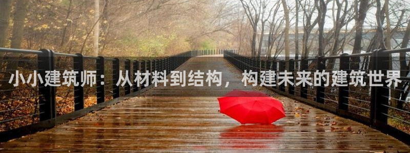 顺盈娱乐代理怎么样了啊：小小建筑师：从材料到结构，构建未来的建筑世界