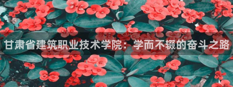 顺盈娱乐登录平台下载：甘肃省建筑职业技术学院：学而不辍的奋斗之路