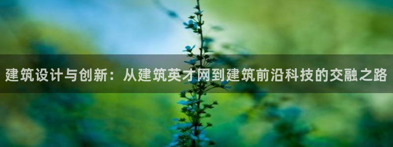 顺盈娱乐口究7276O：建筑设计与创新：从建筑英才网到建筑前沿科技的交融之路