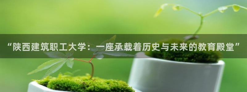顺盈娱乐下载手机版：“陕西建筑职工大学：一座承载着历史与未来的教育殿堂”