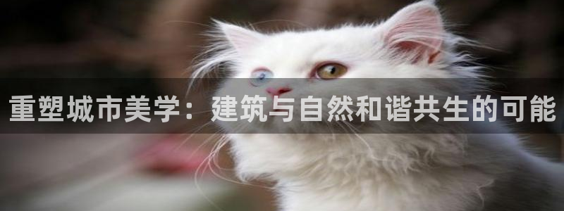顺盈娱乐是天系列平台：重塑城市美学：建筑与自然和谐共生的可能