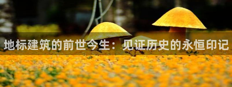 顺盈娱乐各究7276O：地标建筑的前世今生：见证历史的永恒印记
