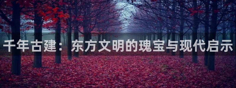 顺盈娱乐各究7276O