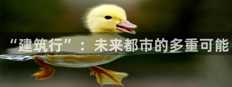 乐摇摇娱乐团购顺盈：“建筑行”：未来都市的多重可能