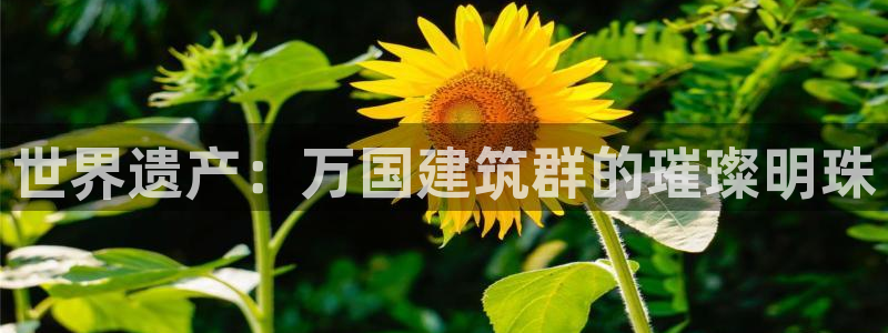 顺盈平台娱乐：世界遗产：万国建筑群的璀璨明珠