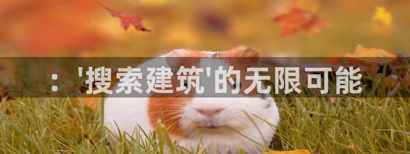 清远顺盈娱乐公司：：\'搜索建筑\'的无限可能