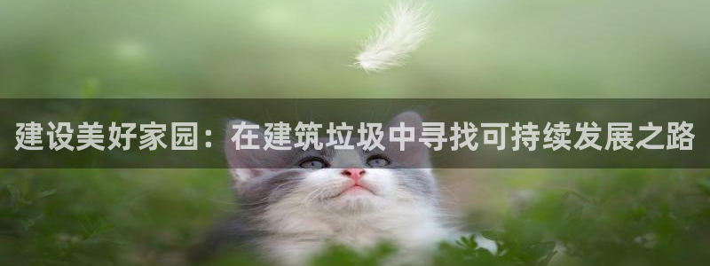 顺盈娱乐代理怎么样了啊：建设美好家园：在建筑垃圾中寻找可持续发展之路