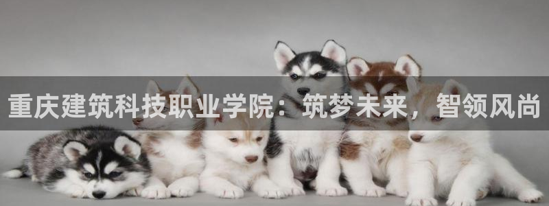 顺盈娱乐是什么：重庆建筑科技职业学院：筑梦未来，智领风尚