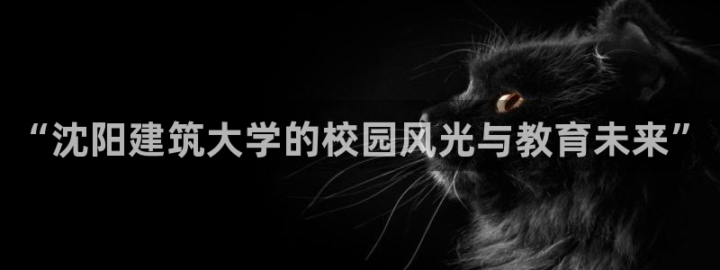 顺盈娱乐团购怎么样