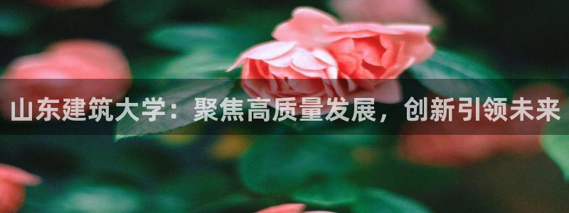 顺盈娱乐28是什么?：山东建筑大学：聚焦高质量发展，创新引领未来