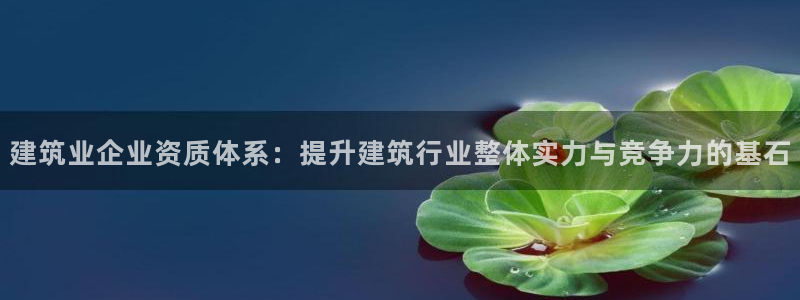 顺盈娱乐平台怎么样：建筑业企业资质体系：提升建筑行业整体实力与竞争力的基石