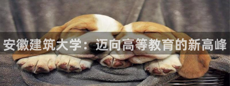 顺盈娱乐登录地址在哪儿：安徽建筑大学：迈向高等教育的新高峰