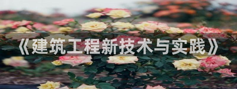 清远市顺盈广场谷哥娱乐ktv：《建筑工程新技术与实践》