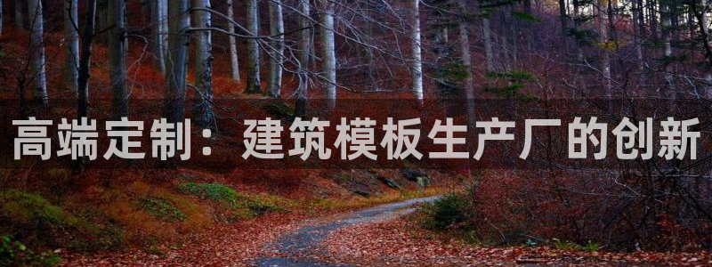 盈顺棋牌娱乐室地址电话：高端定制：建筑模板生产厂的创新
