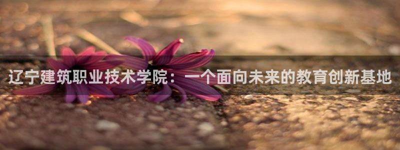 顺盈娱乐下载app：辽宁建筑职业技术学院：一个面向未来的教育创新基地