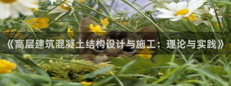 顺盈娱乐登录：《高层建筑混凝土结构设计与施工：理论与实践》